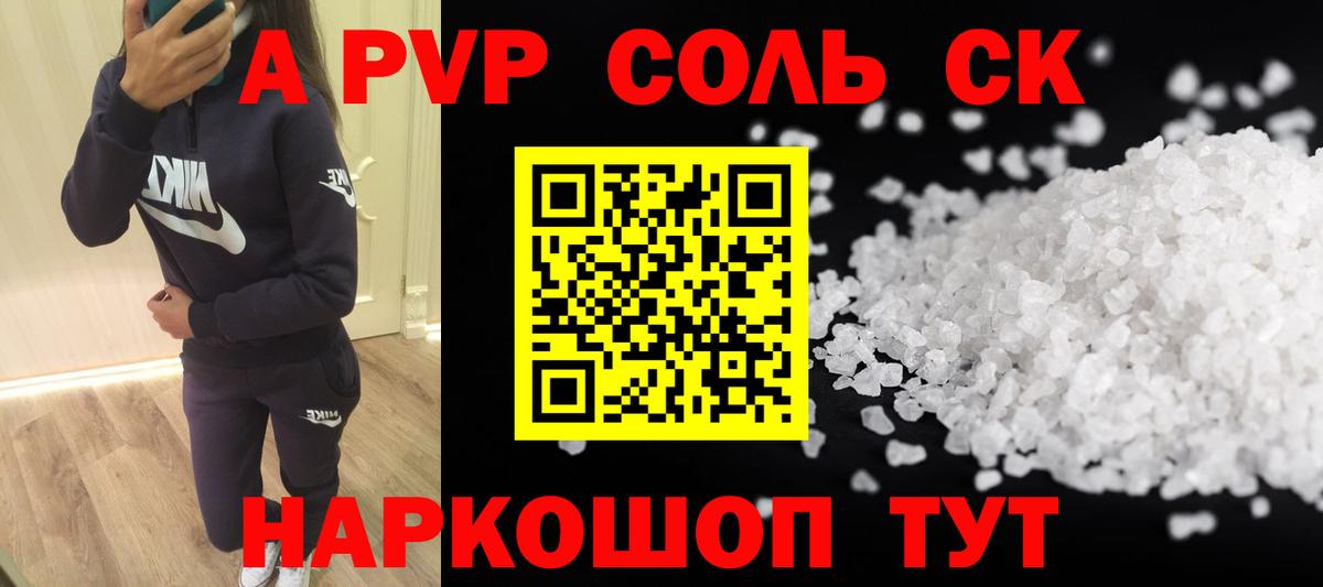 Альфа ПВП СК Кингисепп