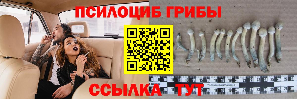 Кингисепп  Псилоцибиновые грибы Magic Shrooms  Вход с VPN 